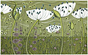 Angie Lewin - Agapanthus