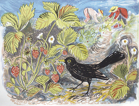 Mark Hearld - Pick Your Own - Lithograph